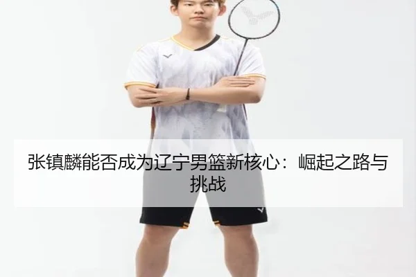 张镇麟能否成为辽宁男篮新核心：崛起之路与挑战